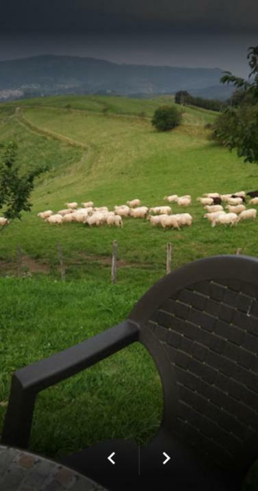 Casa Rural Orortegi Aia Eksteriør billede